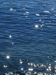 [에세이] 마음을 쓰는 일