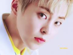 미친개가 끌리는 이유