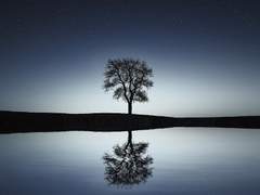 하염없이 낭만이어라.