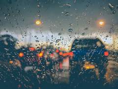 움직이는 것들 - 1