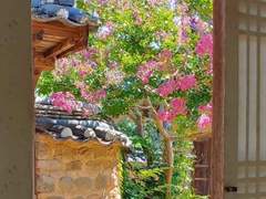 1. 조선 과부 대출, 마녀와 여우