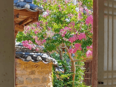 2. 넌 도망쳤잖아