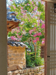 조선 과부 대출, 마녀는 안 되나요?