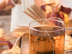 교수X -타로기반 조각글 2-