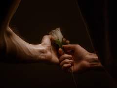 신이 맺은 것은 사람이 가를 수 없으매(미완)