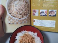 [DAY 48, 49] 마르지 않는 동네 컨텐츠의 샘