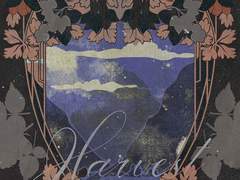 형제 근친에 입문하고 싶다고요...? | 하베스트