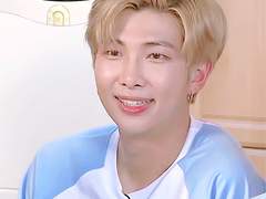 고고한 샴과 상냥한 리트리버