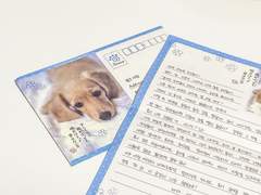 접속기간① / ✉️from. 쁘딩