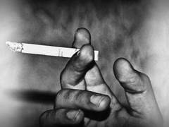 투랑 회고록(鬪狼回顧録)