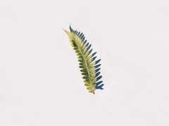 나의 형제, 나의 가족.