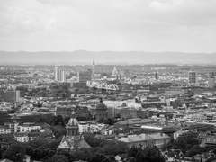 친애하는, 리즈에게