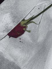 [기현] 교수님, 남편님?