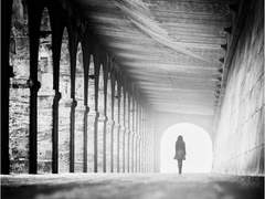 ελεύθερο πουλί χωρίς φτερά