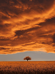 𝐓𝐡𝐞 𝐑𝐞𝐯𝐞𝐥𝐚𝐭𝐢𝐨𝐧