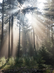 [신비아파트] 강림하리