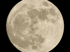 [주술회전] 데미갓 (21)