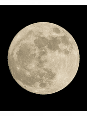 [주술회전] 데미갓 1부 完