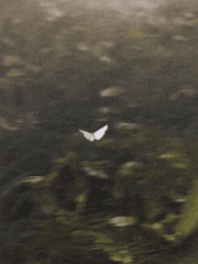 단편선 (생각정리)