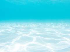 [깜돌] 안녕, 나의 여름