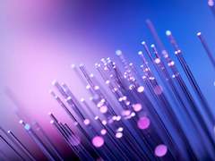 킬리피 P. 페르안_XY_불명