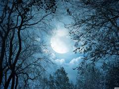 [깜돌] 붉은 달의 사슬. 01