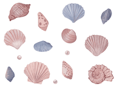 [디지털 스티커] Sea Shells