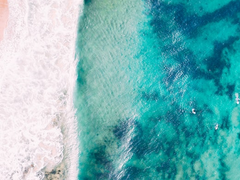 2. 불편한 조력자