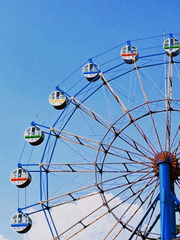 첫사랑 반작용 법칙