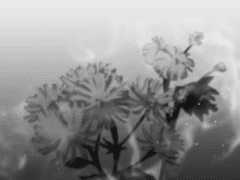 내겐 다시 오지 않을 밤에게