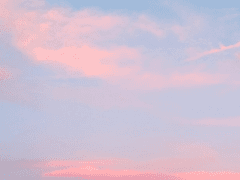 나의 겨울 손님