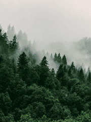 [유리온 아이스] 너만을 위한 카니발