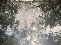 세계는 사랑에 빠져있어.