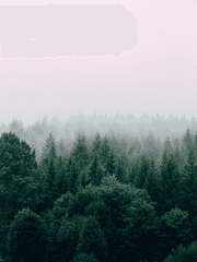 가비지타임 (장편)