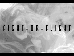 [VS AMBIVALENZ] FIGHT-OR-FLIGHT