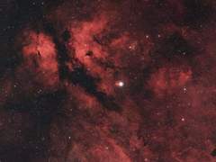 Lily A. Pennington / G / Xx / 순혈