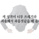 마광자