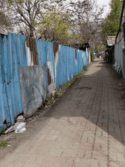 나비가 생선을 물고 간다