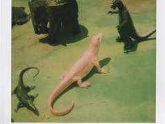 아이솔레이티드 아일랜드