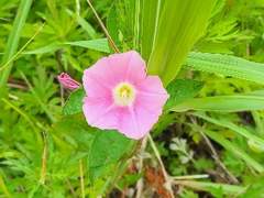 어제는 찍고 오늘은 쓴다.