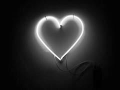 [도리벤 드림 모음] 2022년 드림 모음집