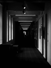 미련역류증명법칙