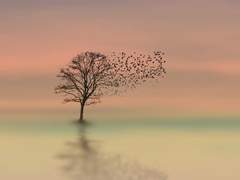 사랑을 사랑답게 하는 것은 이성(理性)이다