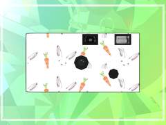 [토템] FILM CAMERA