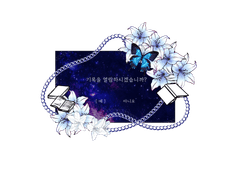 23. 6. 3. 조사영상 재생