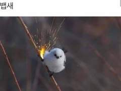 이게 사랑일까요