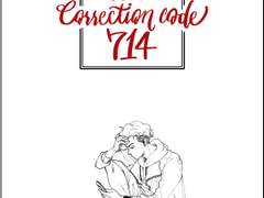 [태섭대만] Error! Correction Code 714 샘플