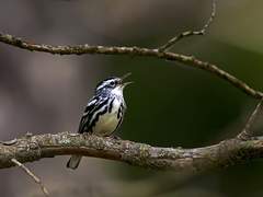 태양이 지면 노을이 뜬다.