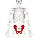 박수흘리며눈물치는중