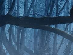 영원을 위한 노력